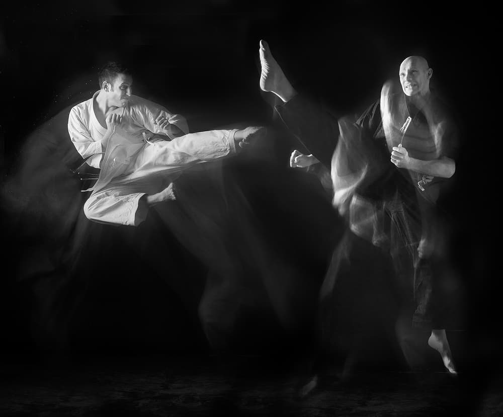 Dynamic Martial Arts Action by Hilde Ghesquiere — canvas wall art