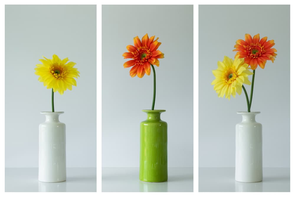 Colorful Gerbera Vases by Jacqueline Hammer — canvas wall art