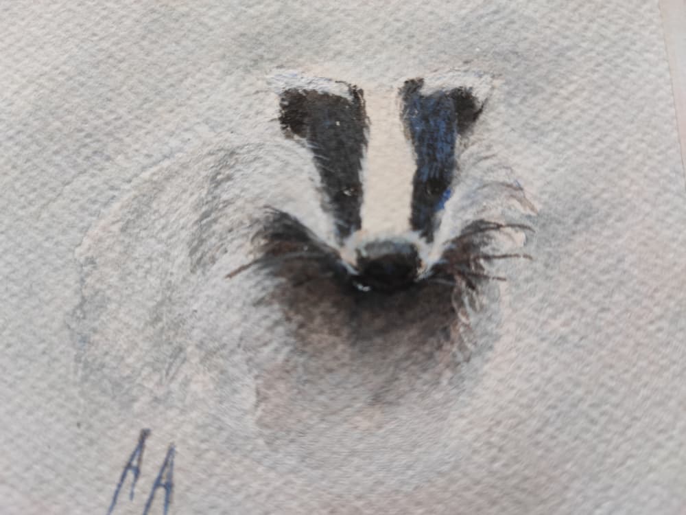 Gray Badger Gaze by Annette Armitage — canvas wall art