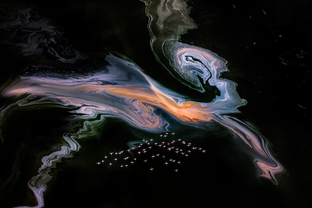 Pink Flamingos Abstract Lake by Siyu_Wei APA — canvas wall art