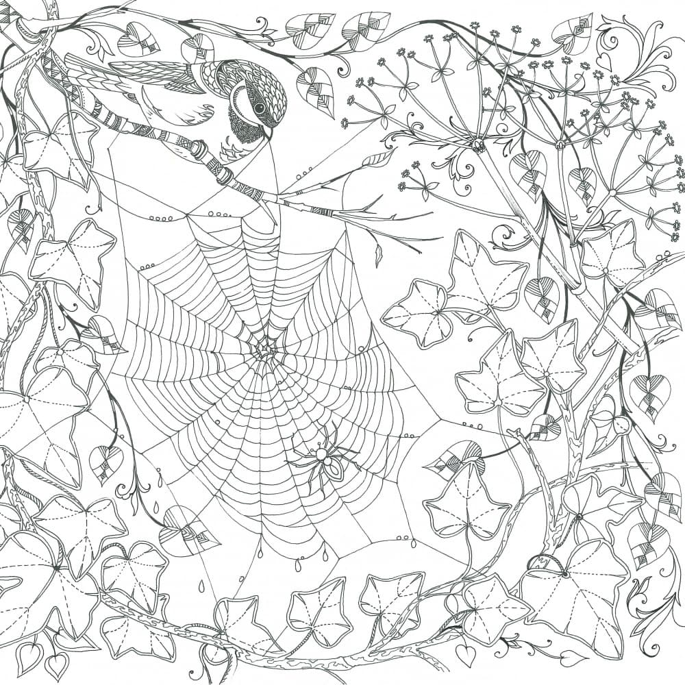 Cobweb by Isabelle Brent — canvas wall art