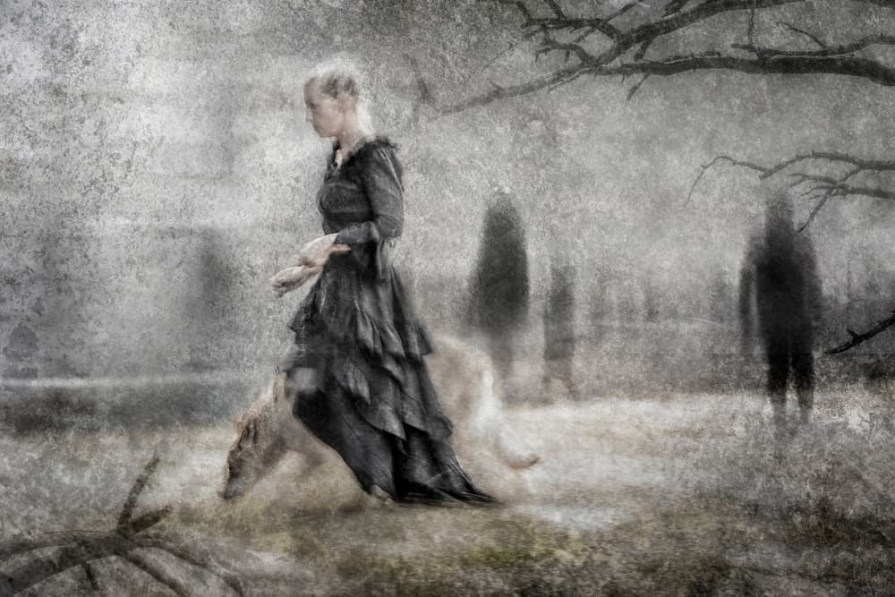 Misty Forest Wanderer by Martine Benezech — canvas wall art