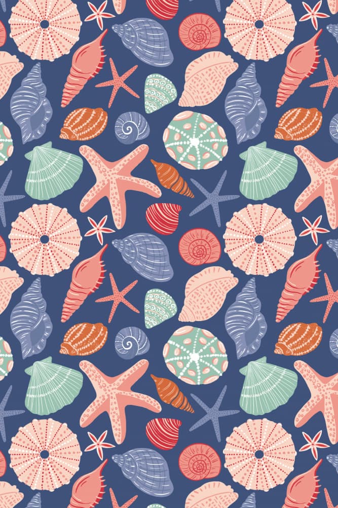 Pastel Ocean Shells by Sarah Whittle — canvas wall art