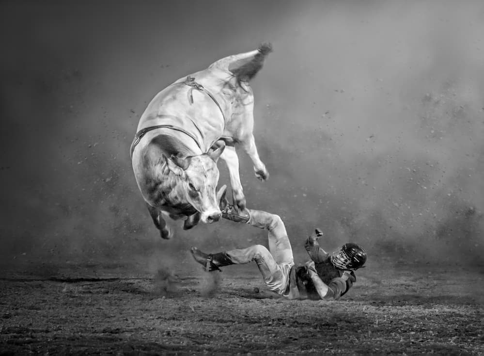 Bucking Bull Action by Irene Wu — canvas wall art