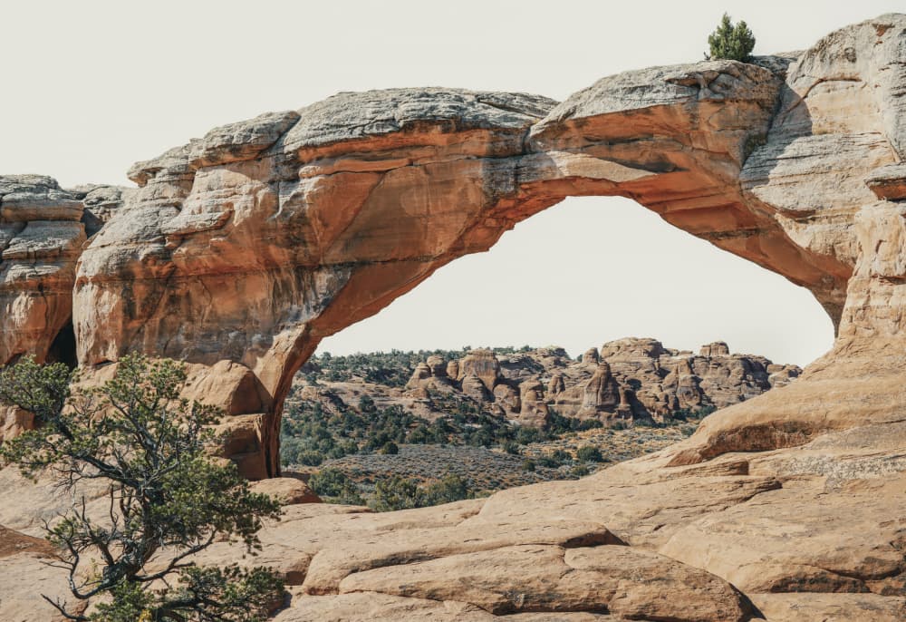 Natural Desert Arch by Courtney Crane — canvas wall art