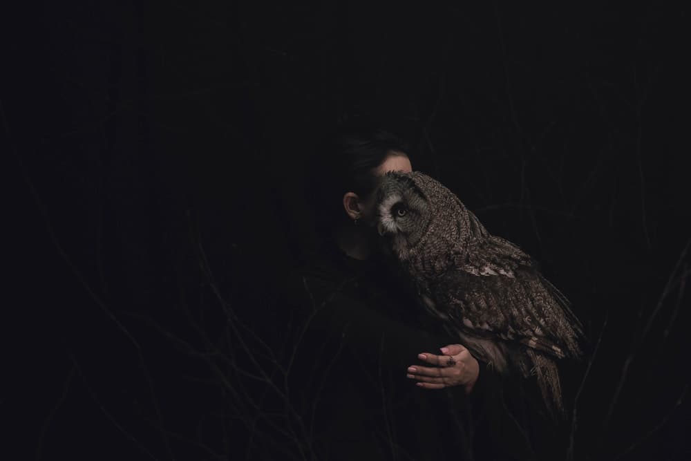 Mysterious Owl Portrait by Olga Barantseva — canvas wall art