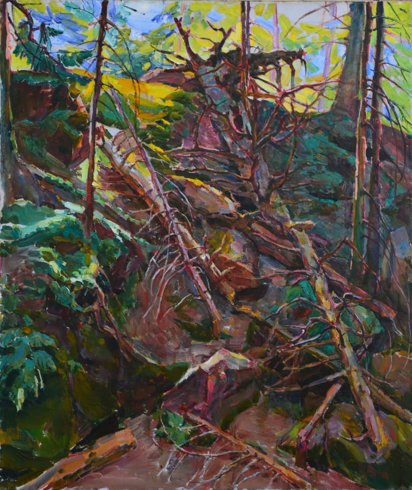 Wild Forest Light by Andrii Kutsachenko — canvas wall art
