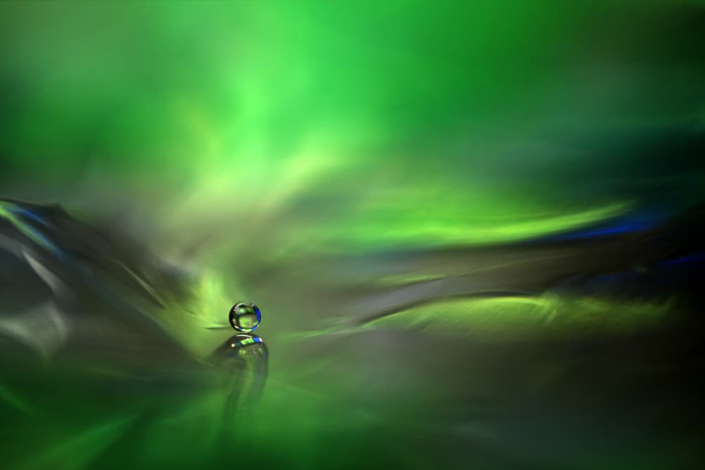 Green Droplet Dream by Heidi Westum — canvas wall art