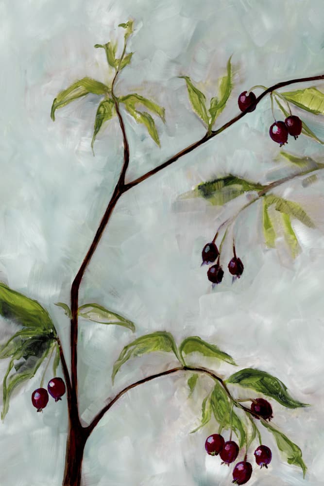 Painted Berry Branches by Rosana Laiz Blursbyai — canvas wall art