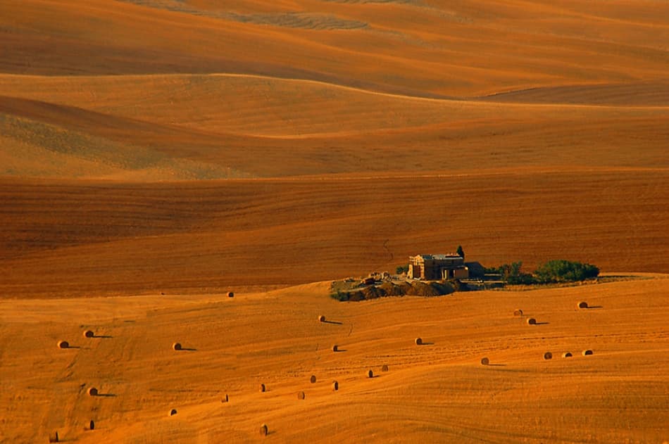 Golden Fields Farmhouse by Jure Kravanja — canvas wall art
