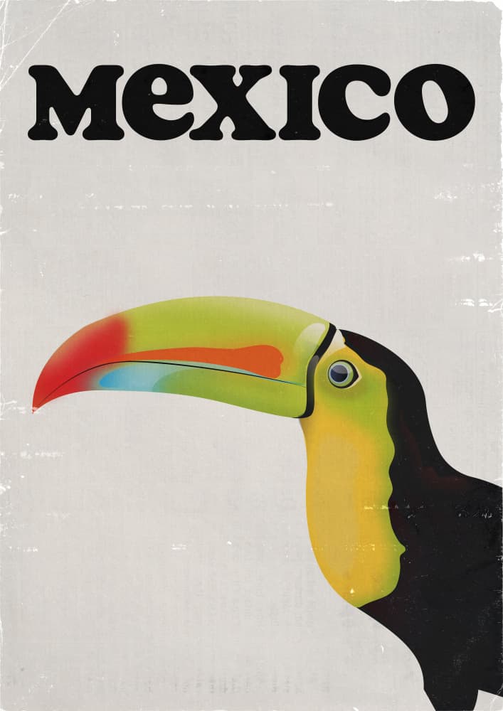 Mexico Toucan by Nicholas — canvas wall art