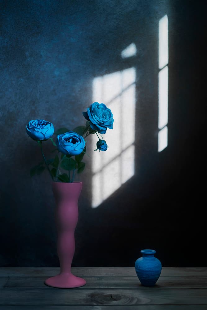 Blue Roses Window Light by Lydia Jacobs — canvas wall art