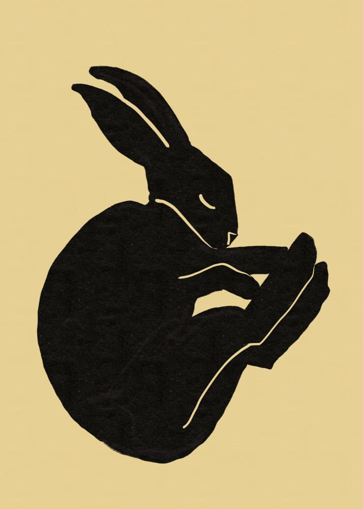 Sleeping Black Rabbit by Sharyn Bursic — canvas wall art