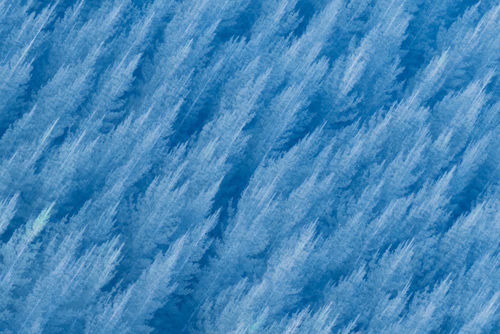 Blue Forest Pattern by Jingshu Zhu — canvas wall art