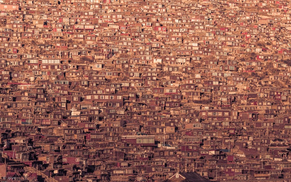 Dense Hillside Monastery by qiye — canvas wall art