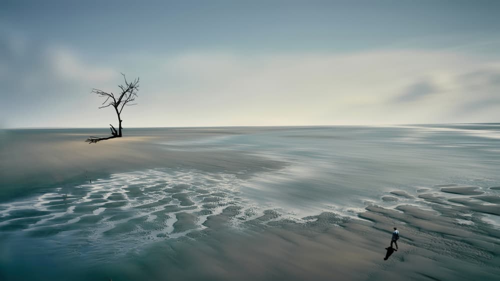 Lone Tree Horizon by MingLun Tsai (蔡明倫) — canvas wall art