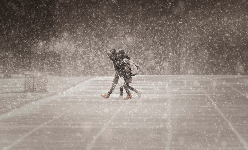 Snowy Winter Walk by Larry Deng APA — canvas wall art