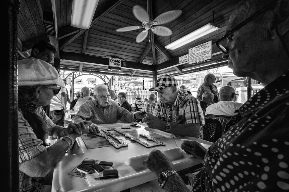 Seniors Playing Dominoes by Alfred Forns — canvas wall art