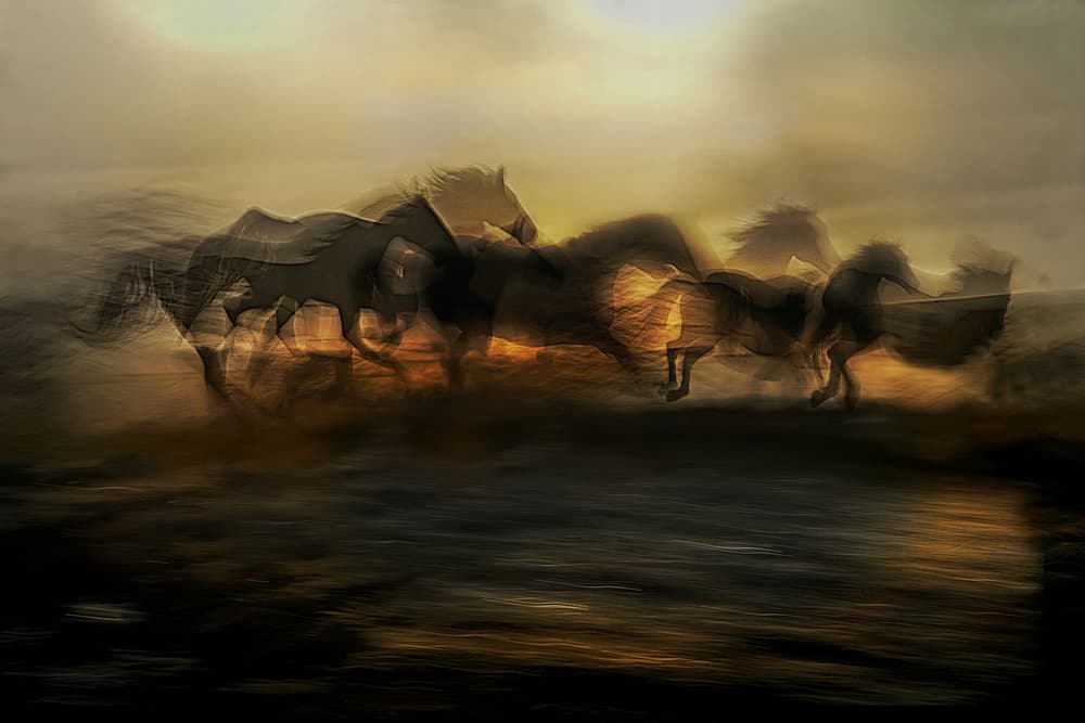 Galloping Golden Horses by Milan Malovrh — canvas wall art