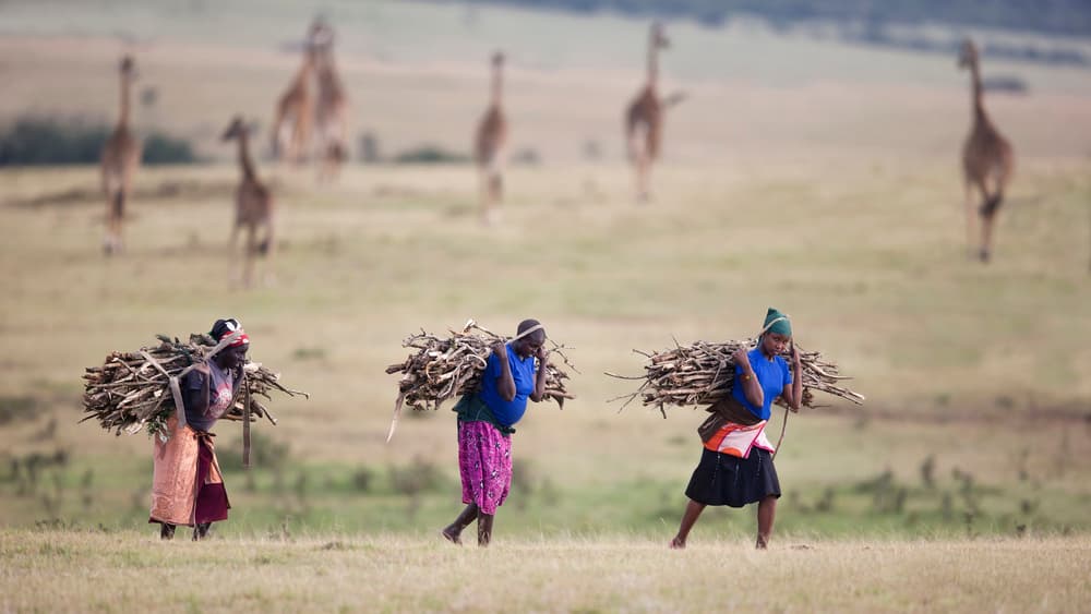 Savanna Women Carrying Firewood by Phillip Chang — canvas wall art