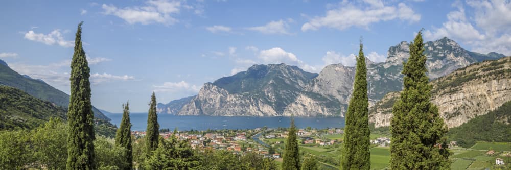 Lake Garda Cypress View by Melanie Viola — canvas wall art