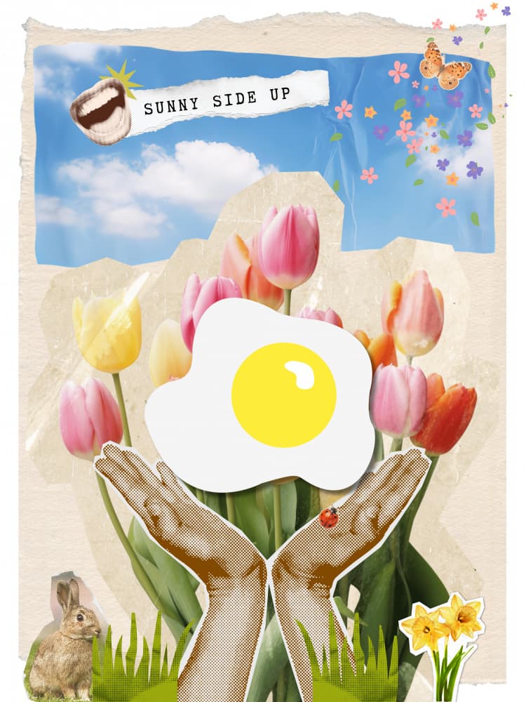 Sunny Side Up Spring by Ohkimiko — canvas wall art