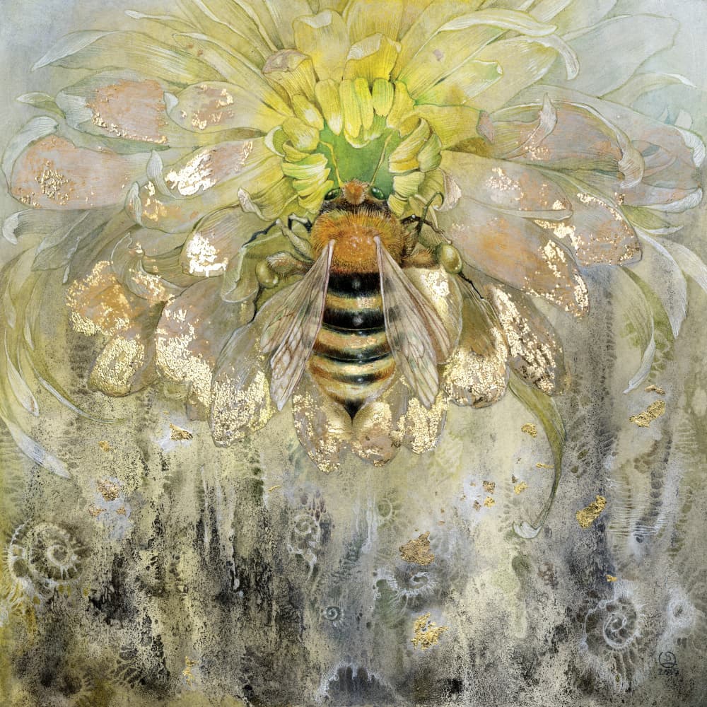 Golden Bee on Bloom by Stephanie Law — canvas wall art