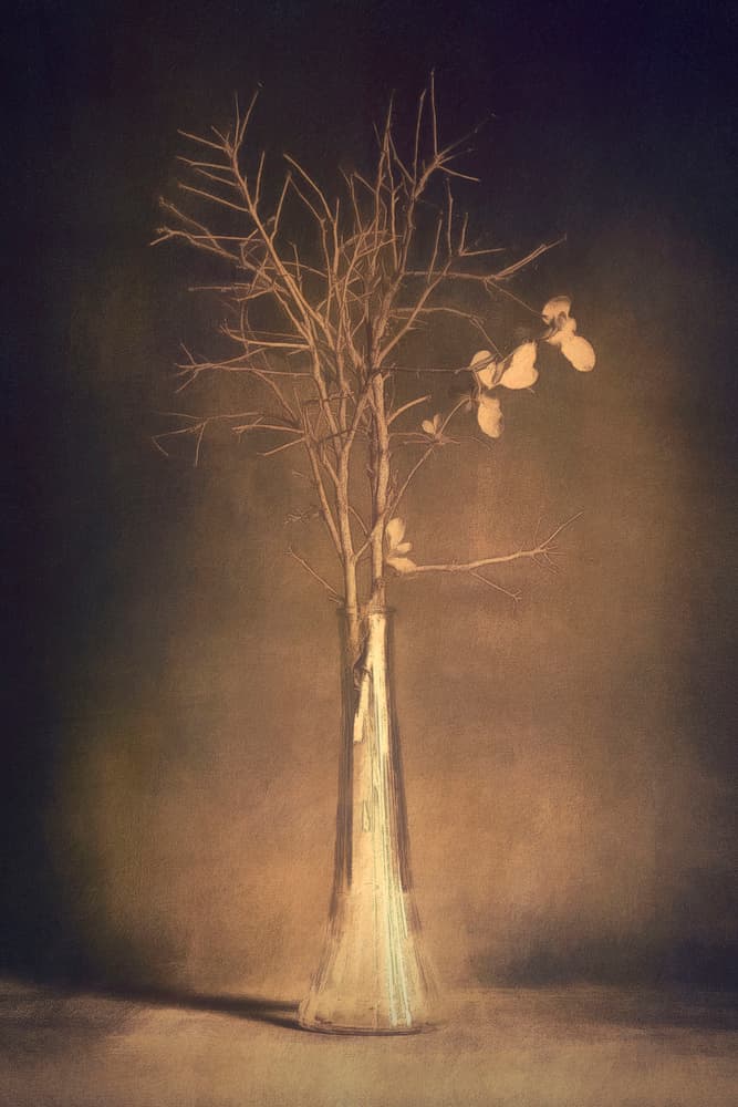 Warm Branch Vase by Cicek Kiral — canvas wall art