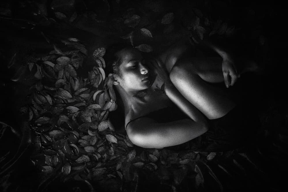 Peaceful Slumber in Leaves by Hari Sulistiawan — canvas wall art