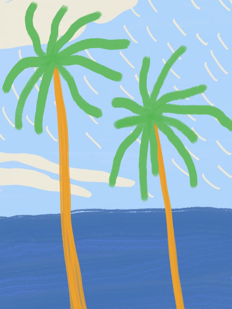 Ocean Palm Trees by Little Dean — canvas wall art