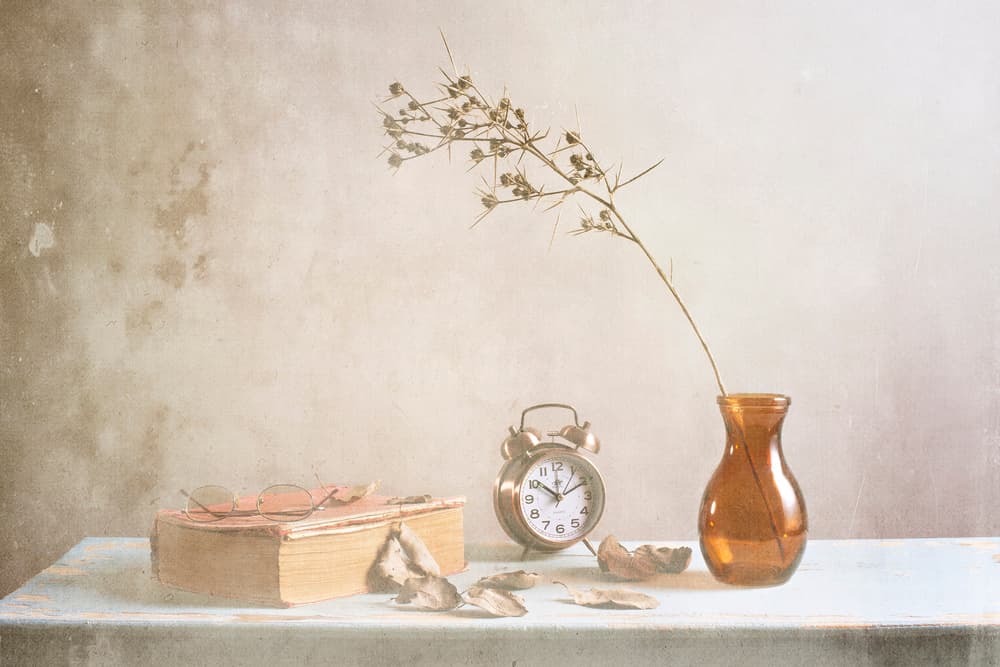 Nostalgic Autumn Reading by Eyal Amer — canvas wall art