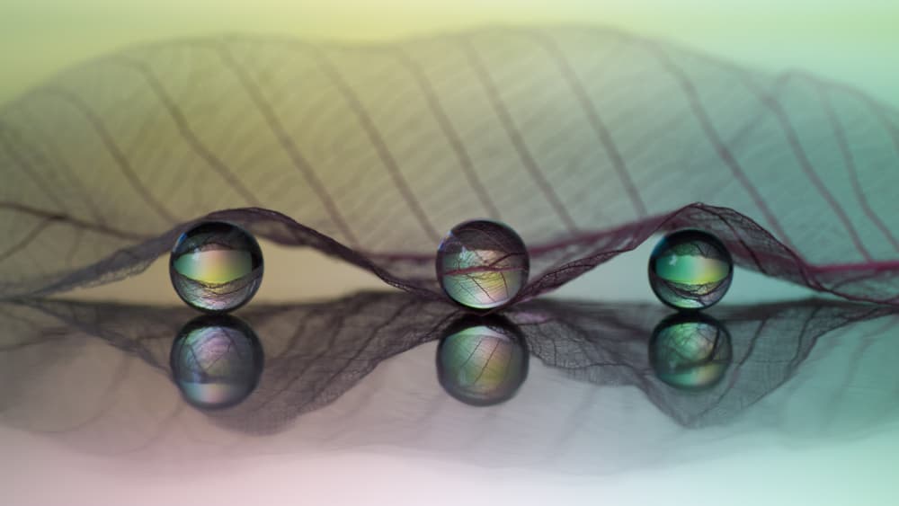 Iridescent Spheres on Leaf by Shihya Kowatari — canvas wall art