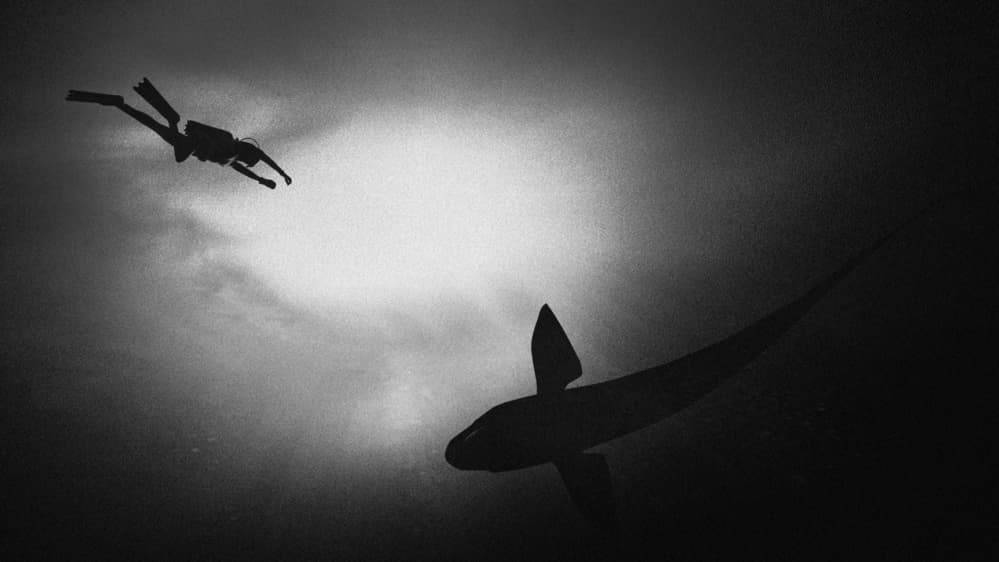 Diver And Ocean Fish by Antonyus Bunjamin (Abe) — canvas wall art