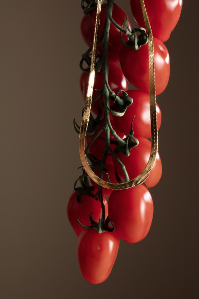 Golden Tomato Vine by Julia Ramiro — canvas wall art