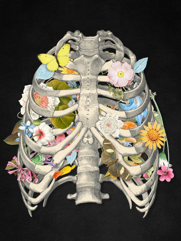 Anatomy In Bloom by Marja van den Hurk — canvas wall art