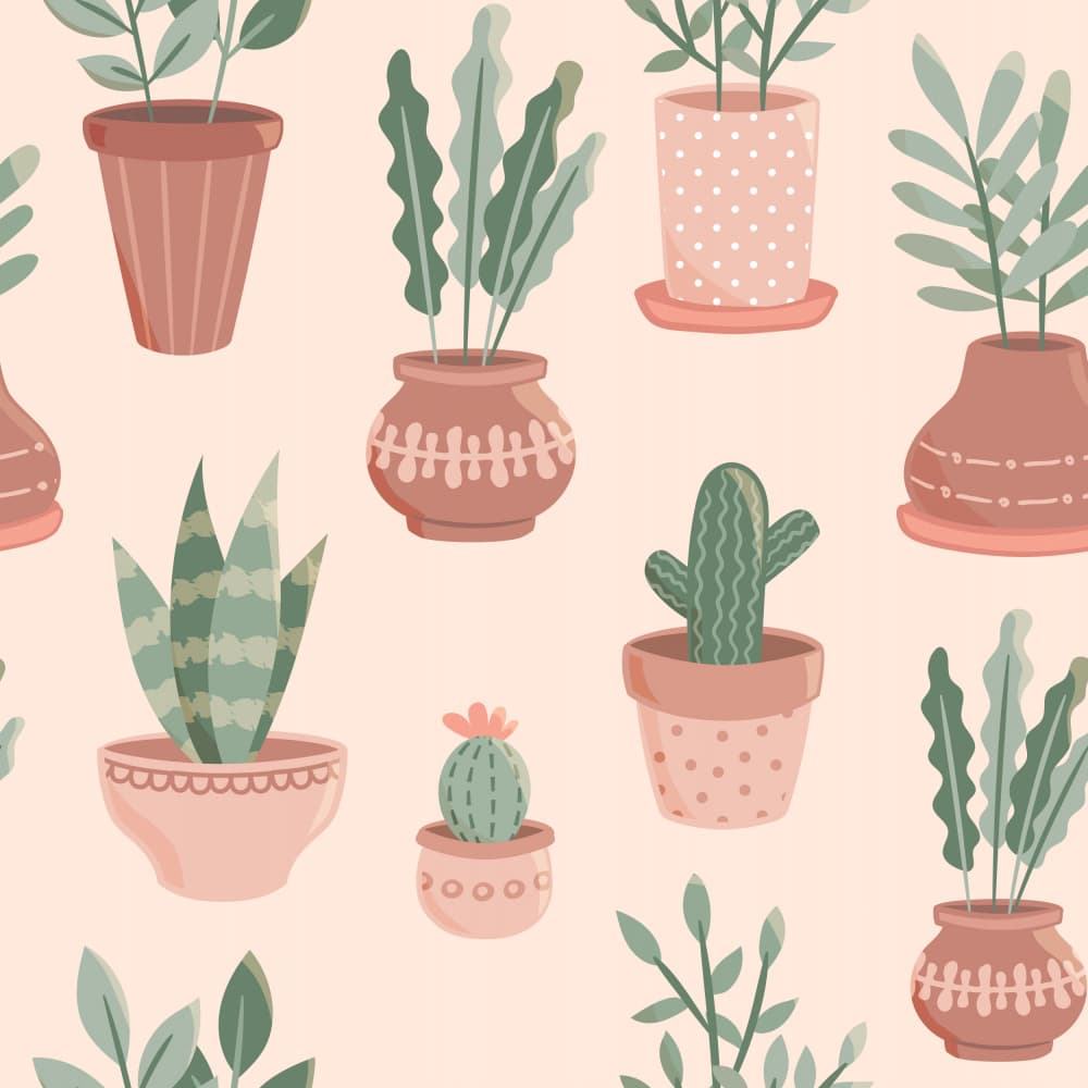 Boho Houseplant Collection by Weronika Gross — canvas wall art
