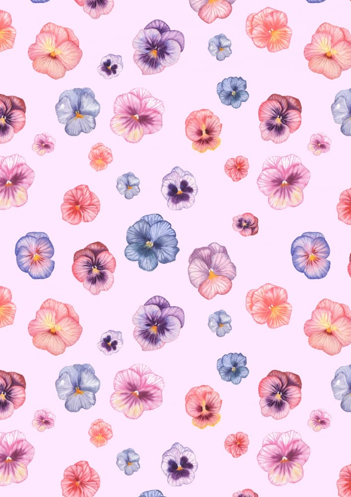 Colorful Pansy Blooms by Linda Sitniece — canvas wall art