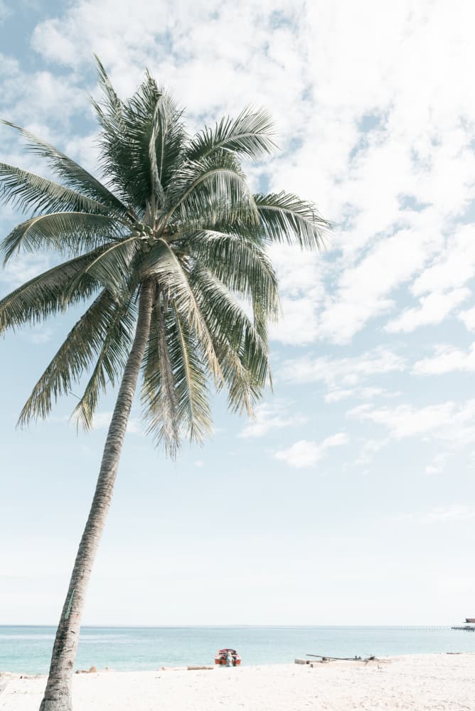 Tropical Palm Beach by Photolovers — canvas wall art