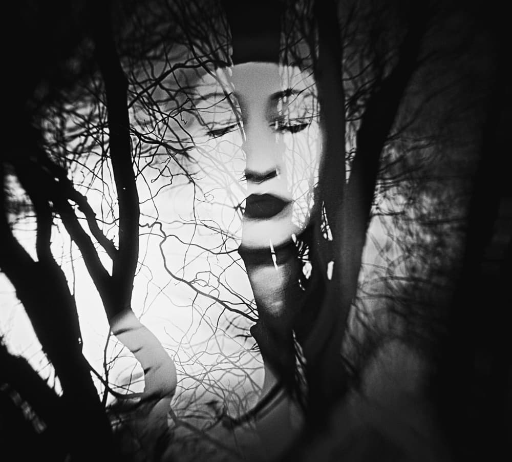 Dreamy Tree Woman by Bogdan Bouşcă — canvas wall art