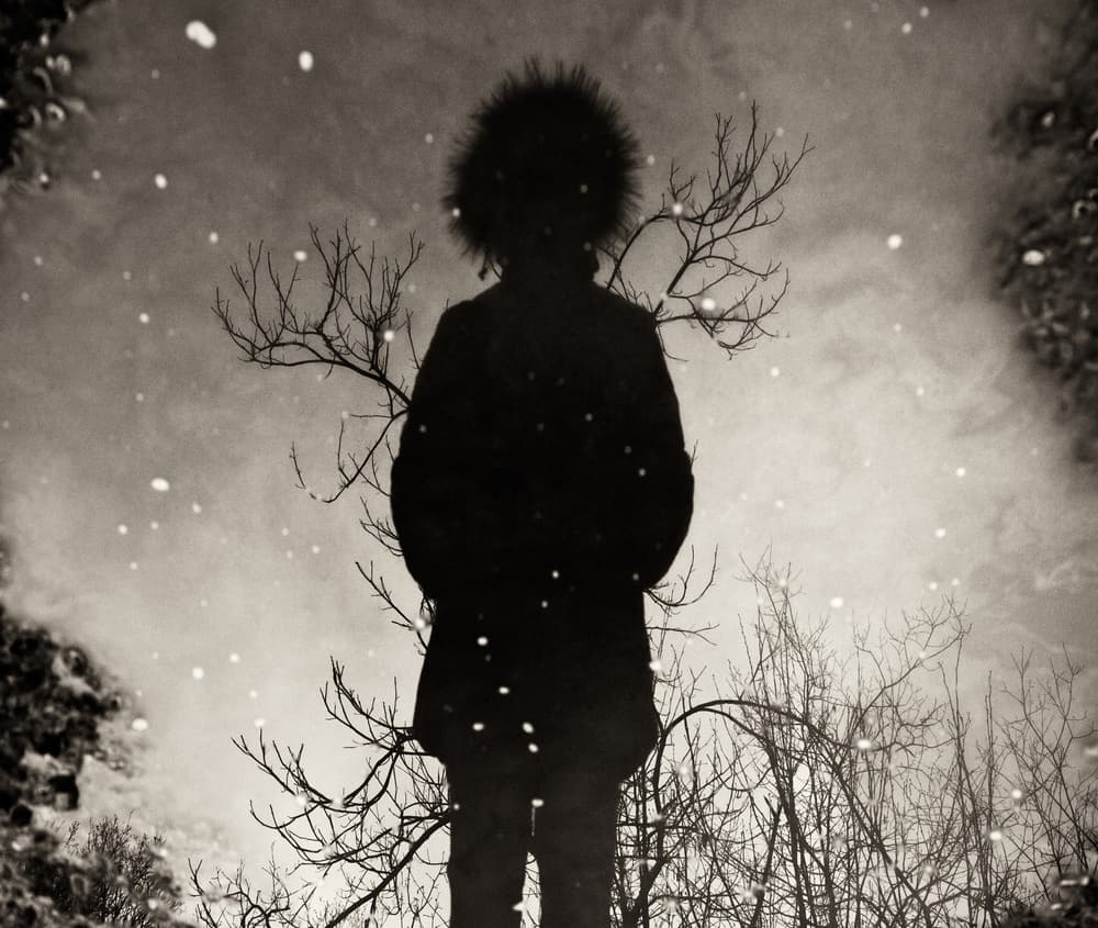 Dreamy Winter Silhouette by txules — canvas wall art