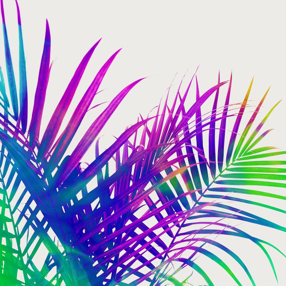 Vibrant Palm Leaves by Uma Gokhale — canvas wall art
