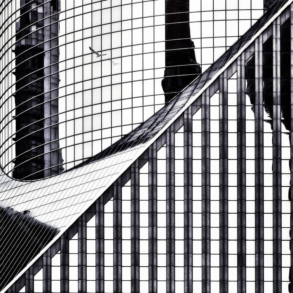 Glass Facade Bird Flight by Piet Flour — canvas wall art
