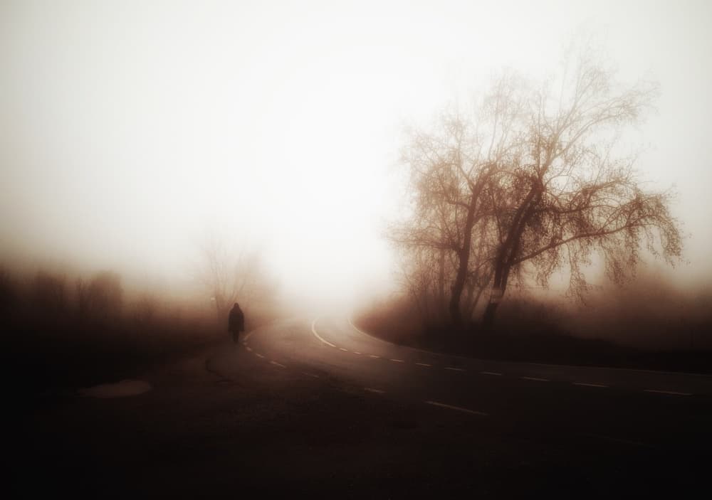 Foggy Road Lone Figure by Ali Ayer — canvas wall art