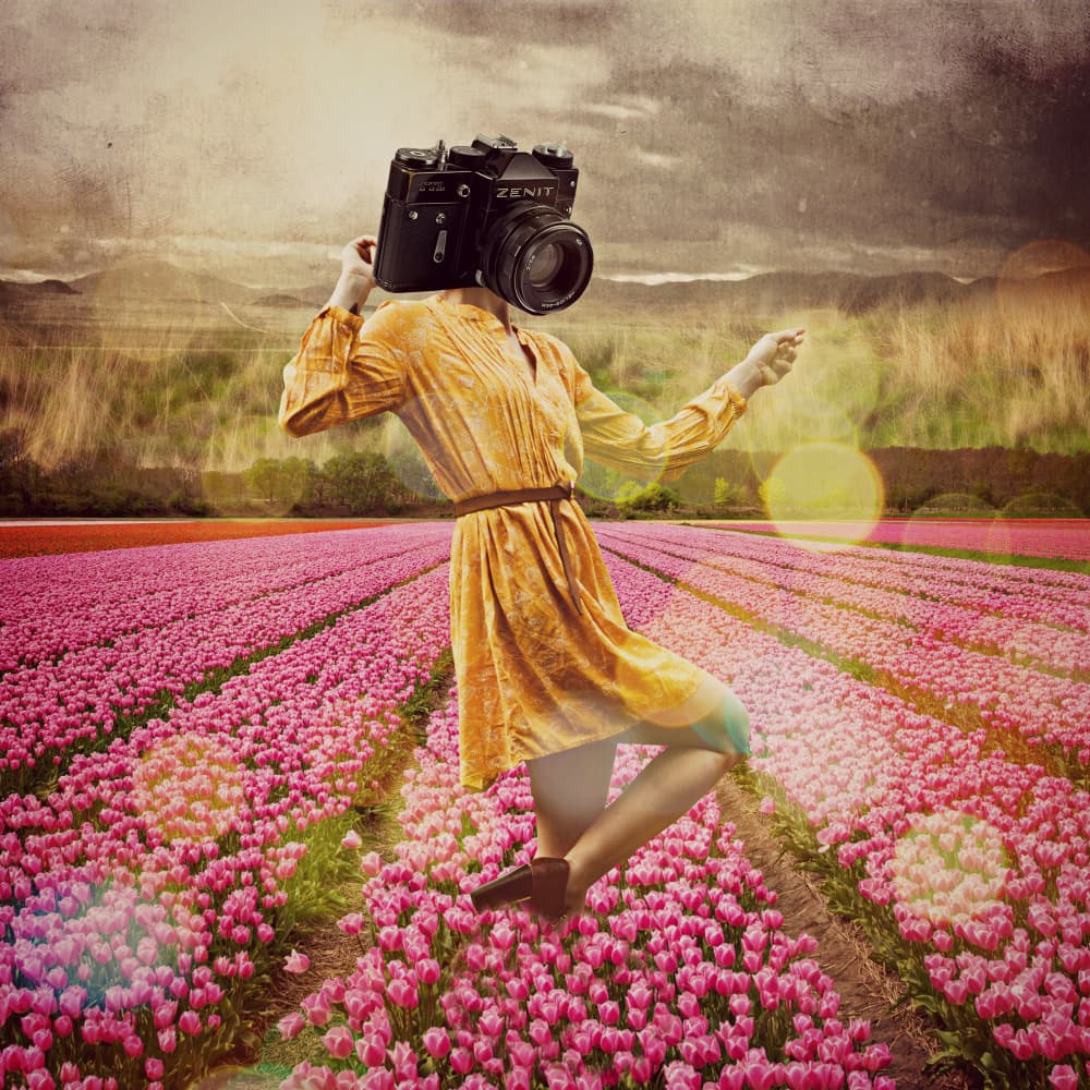 Camera Head In Tulips by Marja van den Hurk — canvas wall art