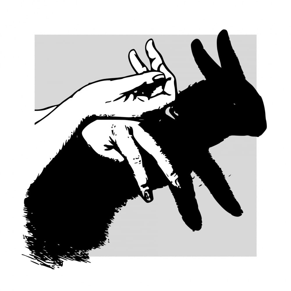 Rabbit Shadow Play by Marja van den Hurk — canvas wall art