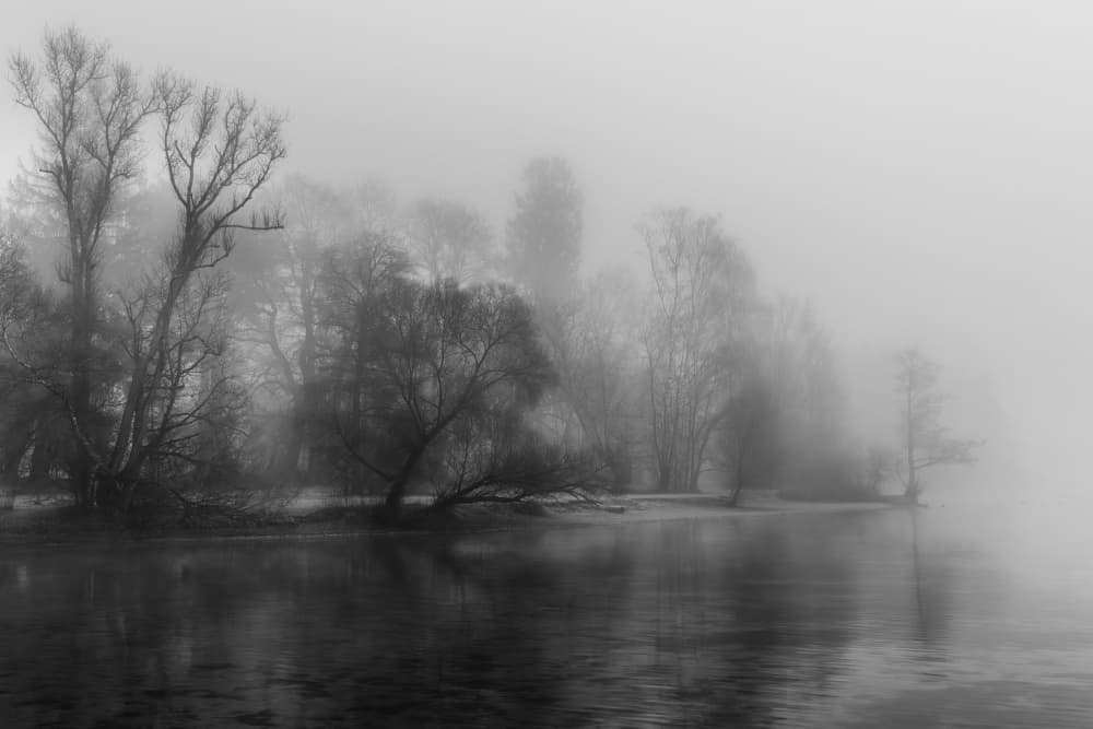 Serene Foggy Landscape by Andy Dauer — canvas wall art
