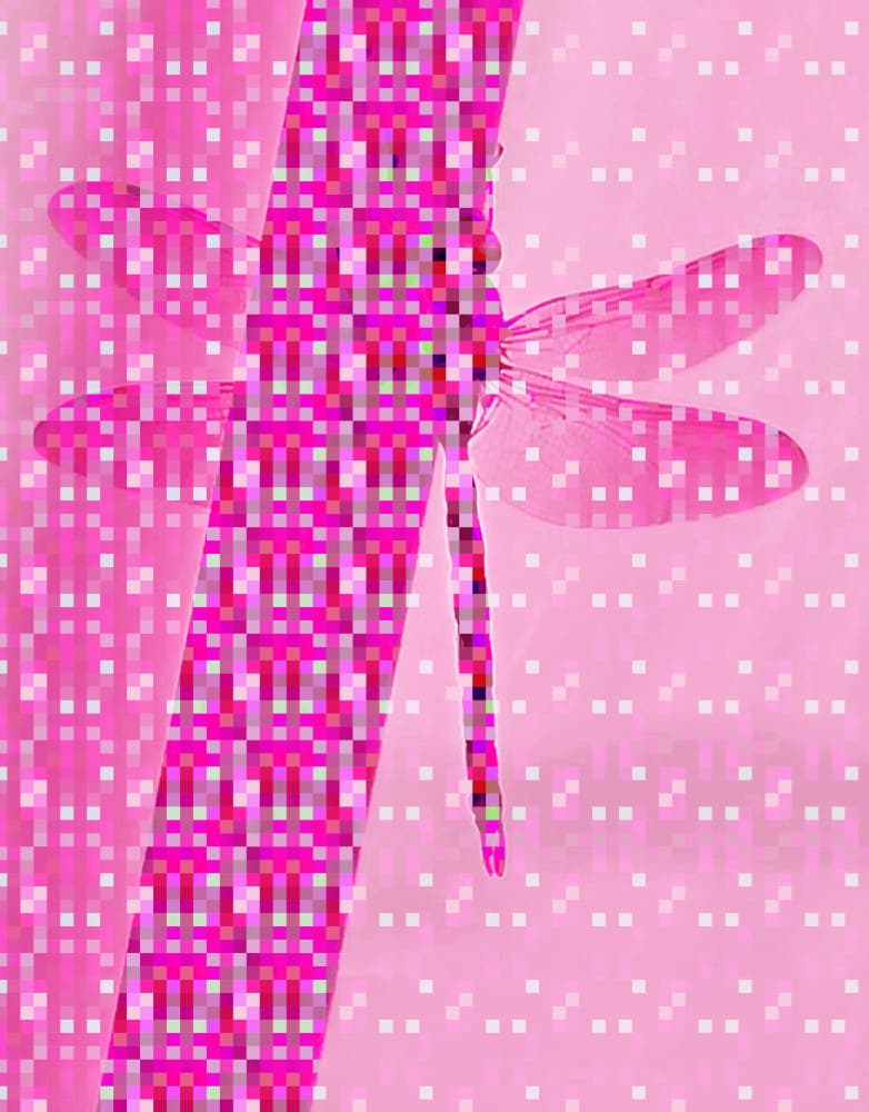 Pink Pixel Dragonfly by Hanne Spangsberg — canvas wall art