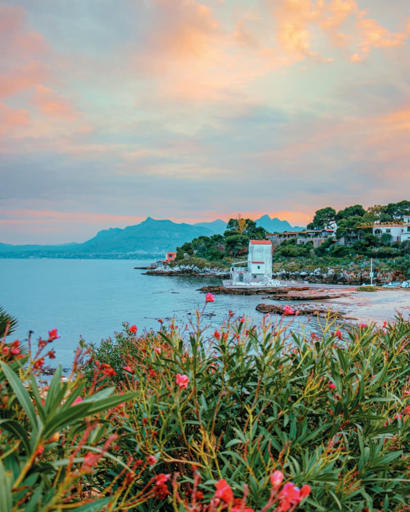 Coastal Sunset Blooms by Gabor Estefan — canvas wall art