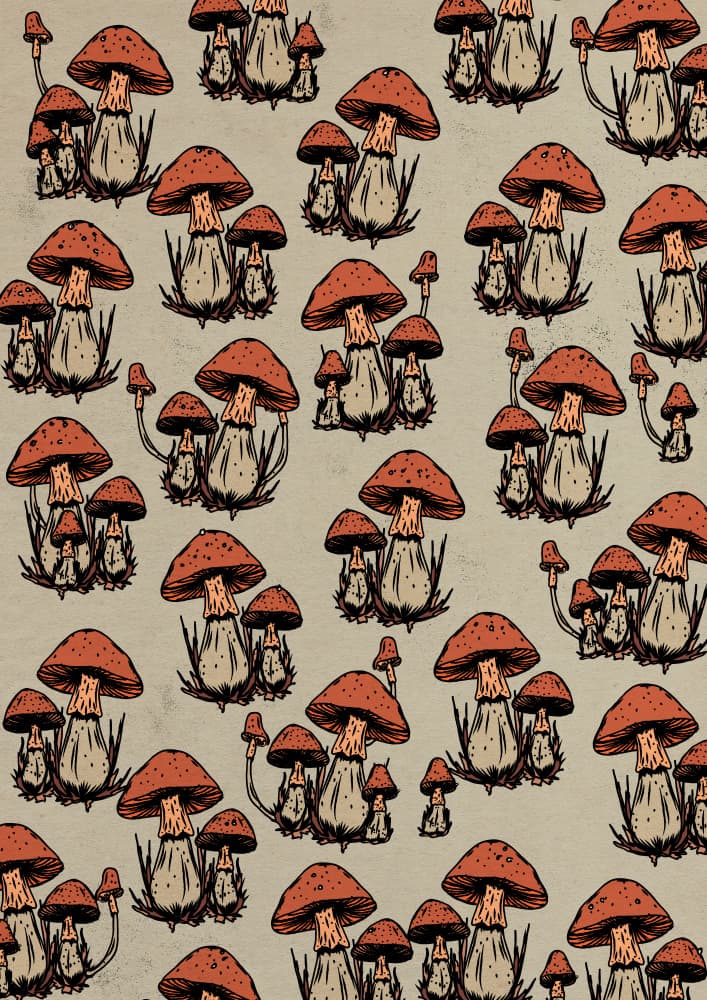 Rustic Mushroom Pattern by Nicholas — canvas wall art