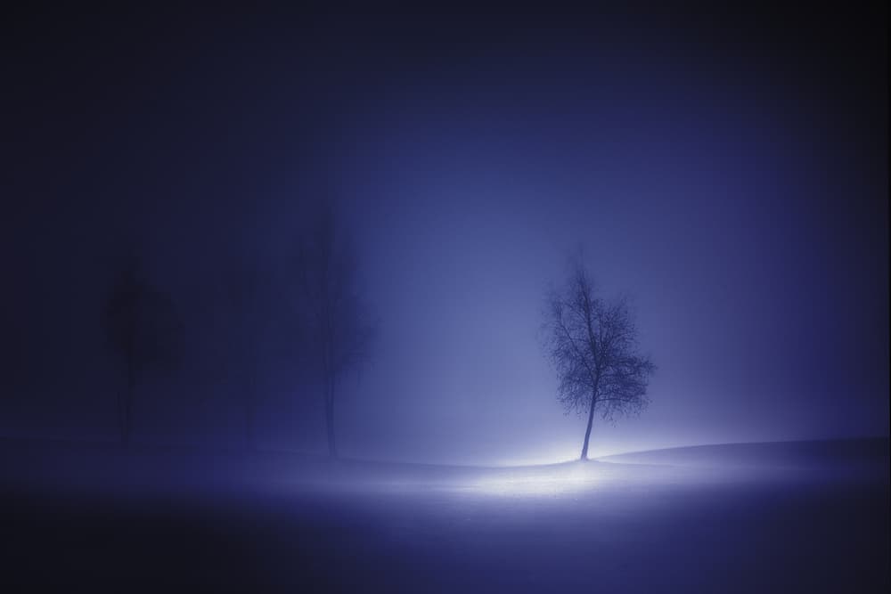 Glowing Winter Tree by Marc Huybrighs — canvas wall art